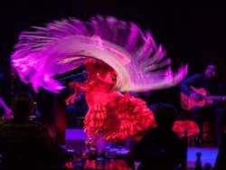 Flamenco Shows In Barcelona Top Places To Watch Flamenco